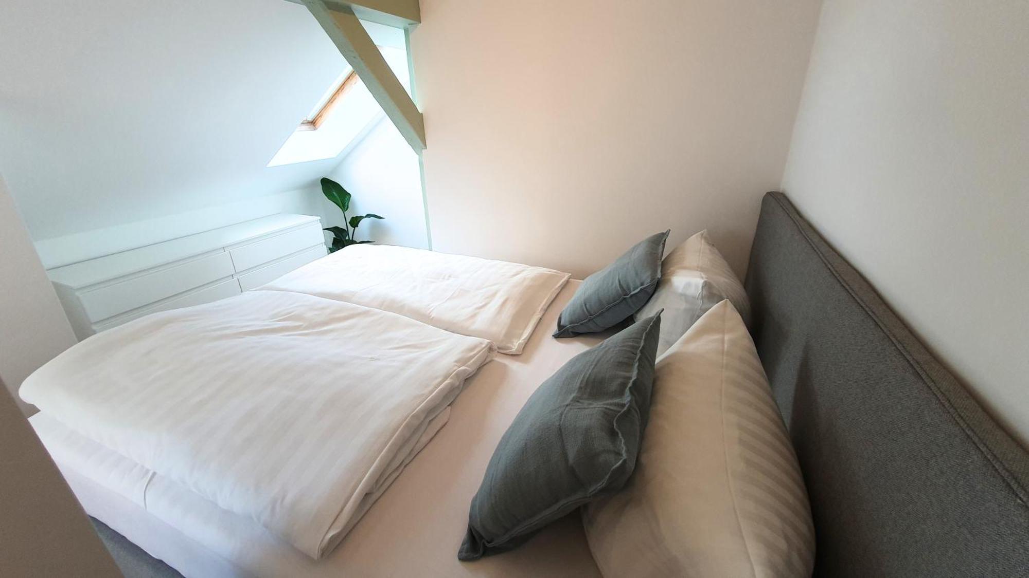 Good Stay Aparthotel Mit Kostenlosen Parkplaetzen ドレスデン エクステリア 写真